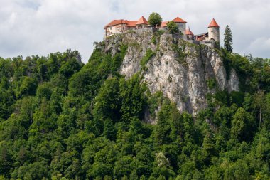 Bled Castle, bir ortaçağ kalesi, Slovenya Bled Gölü 'ne bakan sarp bir uçurumun üzerinde görkemli bir şekilde duruyor.