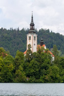 Slovenya 'nın Bled Gölü' nün ortasındaki yemyeşil ağaçların üzerinde yükselen, Bled Adası 'ndaki Meryem' in Varsayımının ikonik hac kilisesinin huzurlu bir manzarası.