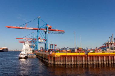 HAMBURG, GERMANY - 12 AĞUSTOS 2024: Hamburg 'daki Burchardkai Terminali' ne demirlemiş büyük bir kargo gemisi, rıhtım boyunca uzanan büyük konteynır vinçleri ile