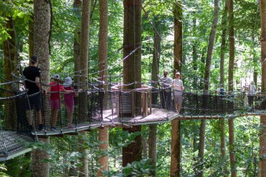 SALEM, GERMANY - 25 AĞUSTOS 2025: Asılı halat köprüsünde güneşli bir yürüyüşün keyfini çıkaran bir grup insan Affenberg Salem 'deki yemyeşil ağaçların arasında, macera ve doğa sergiliyorlar.
