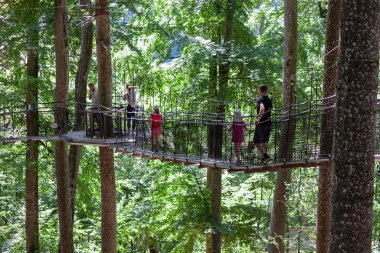 SALEM, GERMANY - 25 AĞUSTOS 2025: Asılı halat köprüsünde güneşli bir yürüyüşün keyfini çıkaran bir grup insan Affenberg Salem 'deki yemyeşil ağaçların arasında, macera ve doğa sergiliyorlar.