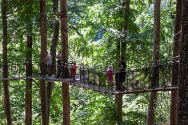 SALEM, GERMANY - 25 AĞUSTOS 2025: Asılı halat köprüsünde güneşli bir yürüyüşün keyfini çıkaran bir grup insan Affenberg Salem 'deki yemyeşil ağaçların arasında, macera ve doğa sergiliyorlar.
