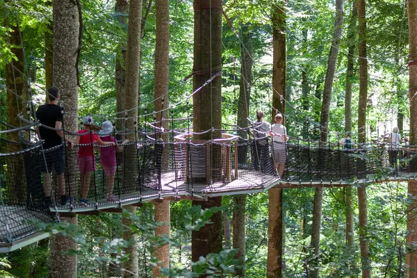 SALEM, GERMANY - 25 AĞUSTOS 2025: Asılı halat köprüsünde güneşli bir yürüyüşün keyfini çıkaran bir grup insan Affenberg Salem 'deki yemyeşil ağaçların arasında, macera ve doğa sergiliyorlar.