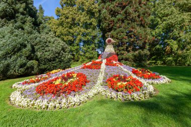 The magnificent peacock made of flowers at the famous Mainau Island garden on Lake Constance, showcasing vibrant colors and stunning horticultural art under a clear blue sky