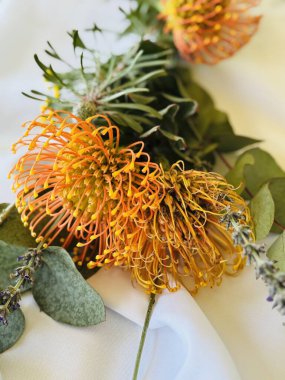 Orange Protea displayed on a table, party  clipart