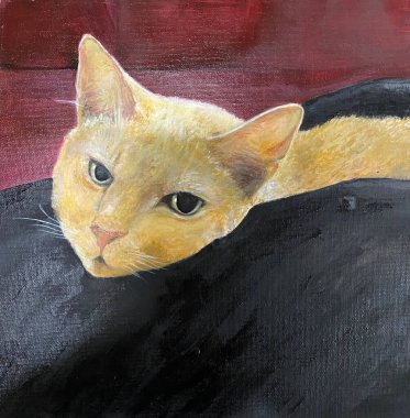 Sahiplerinin kucağında bir kedi resmi