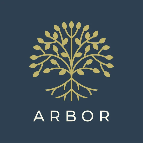 Μοντέρνος Σχεδιασμός Λογότυπου Βοτανικός Κήπος Arbor Εικόνα Γραμμή Φυτών Φυσικό Εικονογράφηση Αρχείου