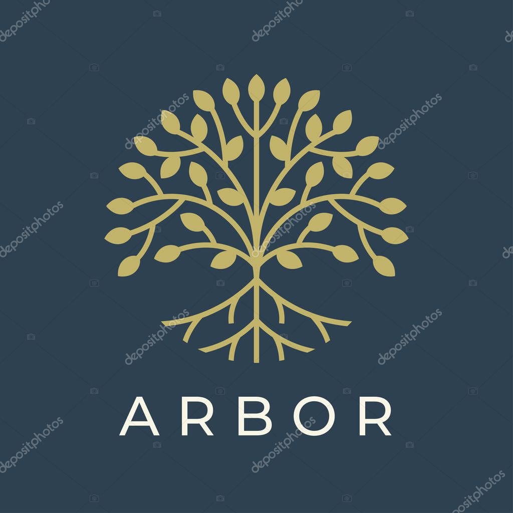 Modern tree logo design. Botanical arbor garden plant line icon. Natural brand emblem. Nature symbol. Vector illustration