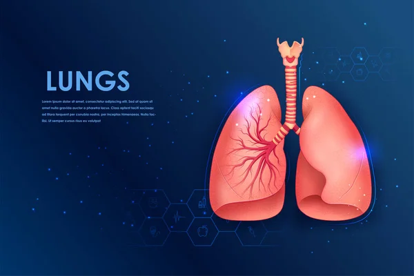 Ilustracja Opieki Zdrowotnej Edukacji Medycznej Rysunek Schematu Ludzkie Płuca Badań — Wektor stockowy