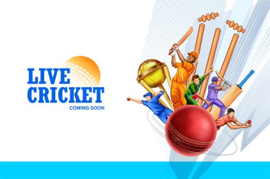 2024 kriket şampiyonasında oynayan vurucunun resmi.