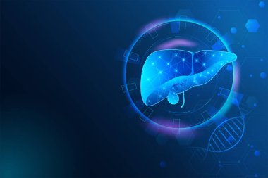 Bilim Biyolojisi Çalışması için İnsan Karaciğeri 'nin Sağlık ve Tıp Eğitimi çizelgesinin çizimi