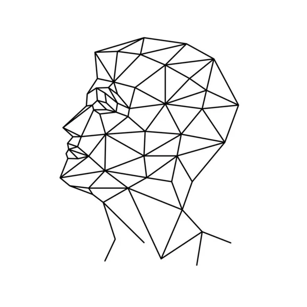 Human Face Polygons Vector Illustration — Stock Vector