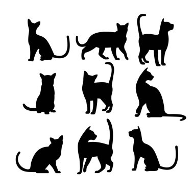 Beyaz arka planda bir kedinin silüeti