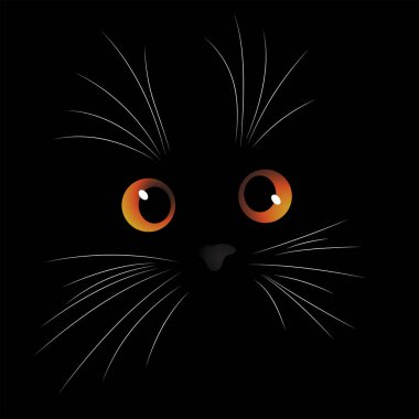 kedi yüz siyah arka plan üzerine