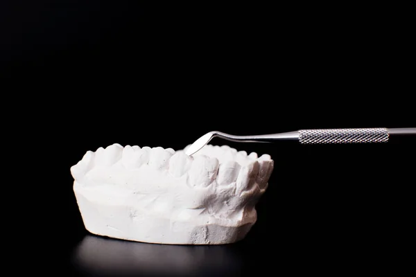 Tandläkare Tandproteser Tänder Tandkött Rötter Närbild Studera Tandsjukdomar Koncept — Stockfoto