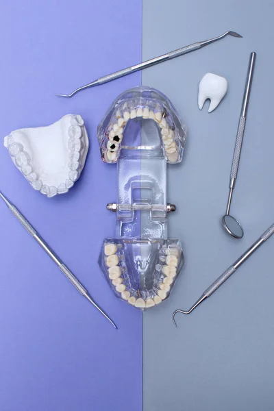 Dental tools and model of teeth on a blue background. Dental care concept.