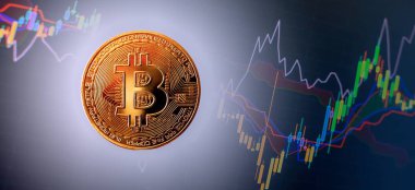 Virtual cryptocurrency Bitcoin . Investing in virtual assets