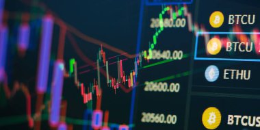 Profesyonel teknik analizler için bir monitör üzerinde analiz