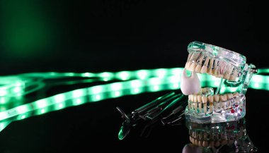 Bir neon arka planda diş aletleri ve modelleri.
