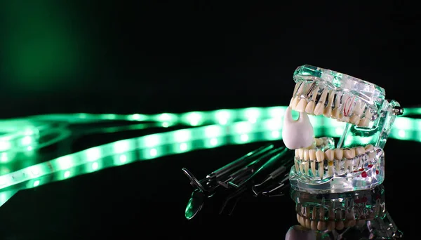 Zahnwerkzeuge Und Zahnmodell Auf Neonfarbenem Hintergrund — Stockfoto