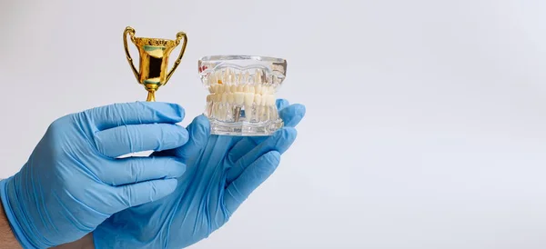 Zahnarzt Mit Trophäe Und Zahnmodell Auf Weißem Grund — Stockfoto