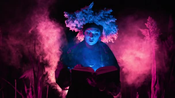 Ukrainian Witch Woman Reading Magic Steaming Book Reeds Night Multi — Stock Video