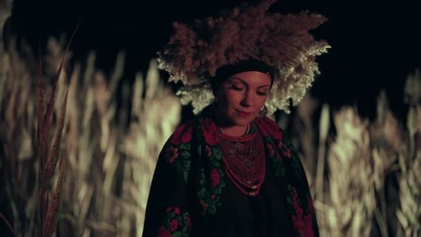 Українська Етнічна Жінка Традиційному Одязі Очереті Вночі Загадкова Дівчина Вінцем — стокове відео