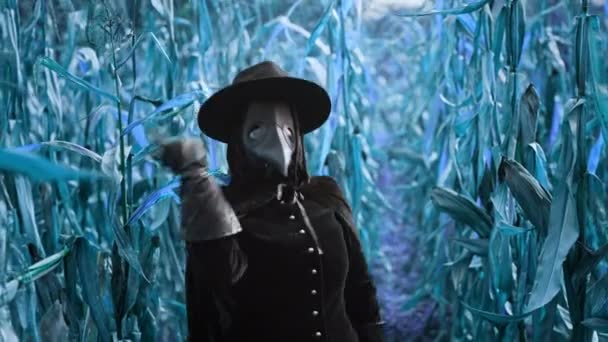 Lekarz Plaga Gotycka Kobieta Tańcząca Niebieskich Zaroślach Przerażająca Maska Kruka — Wideo stockowe