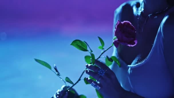Красива Жінка Рожевою Квіткою Блакитній Чистому Воді Вночі Приваблива Леді — стокове відео