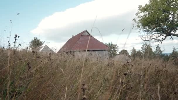Stary Drewniany Dom Łące Gór Karpackich Autentyczne Życie Ekologiczne Pasterza — Wideo stockowe