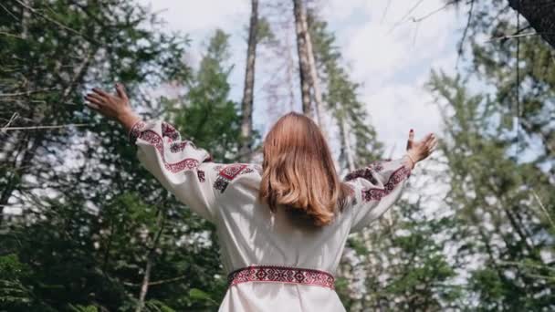 在喀尔巴阡山脉的冷杉森林里 站着一位乌克兰人妇女的背影 穿着传统绣花Vyshyvanka衣服的女孩 乌克兰 民族服装 4K镜头 — 图库视频影像