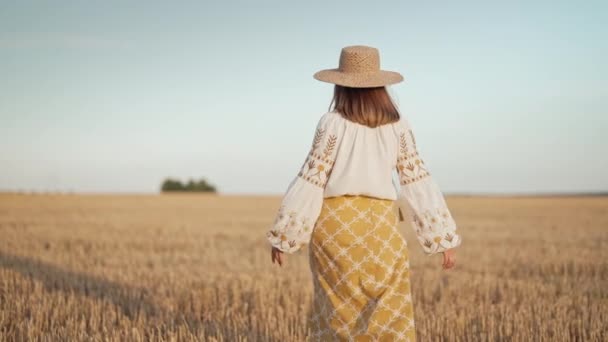 Нерозбірлива Етнічна Жінка Йде Полі Пшениці Після Збору Врожаю Приваблива — стокове відео