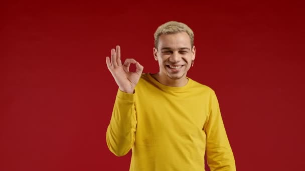 Schöner Mann Macht Handzeichen Okay Geste Glücklicher Kerl Korrekte Perfekte — Stockvideo