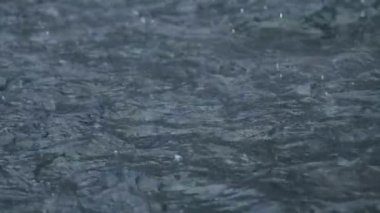 Beyaz karla akan nehir. Gerçek kar taneleri yağıyor. Kış, soğuk sakin hava. Romantik harikalar diyarı. Manzara, güzel su arka planı. Yüksek kalite 4k görüntü