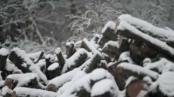 Logs Van Gehakte Gestapelde Brandhout Stapels Onder Sneeuw Winter Houtstapelvoorbereiding — Stockvideo