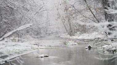 Nehre çok sakin kar yağıyor, orman manzarası. Kış, soğuk hava, kar. Romantik harikalar diyarı. Sihirli, güzel bir Noel geçmişi. Ağır çekim. Yüksek kalite 4k görüntü