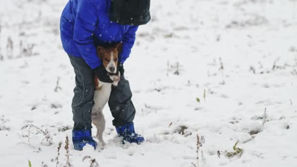 Mulher Brincando Com Cão Orelhas Grandes Fundo Natureza Inverno Cachorrinho — Vídeo de Stock
