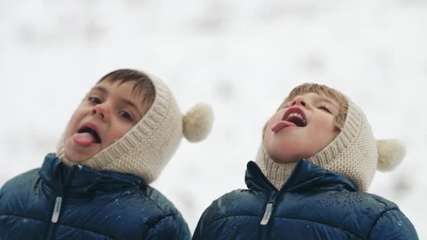 Chicos Lindos Atrapando Copos Nieve Con Boca Imágenes Divertidas Los — Vídeos de Stock