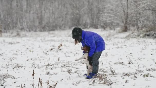 冬の自然地域の田舎で小さなビーグル子犬と女性の訓練や遊び 犬を連れた女の子 幸せな素敵なペット 家族の新しいメンバー 高品質4K映像 — ストック動画