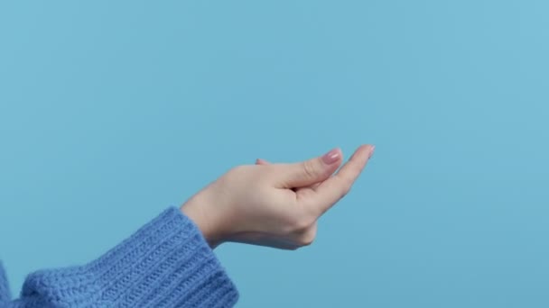認識できない女性が青いスタジオの背景に指をスナップします 音を立てるためにスナッピング 人々の注意をもたらす ボディランゲージ 高品質4K映像 — ストック動画