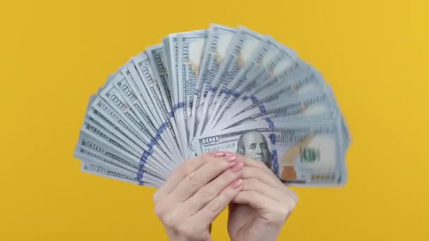 Mulher Com Dinheiro Dinheiro Usd Moeda Notas 100 Dólares Fundo — Vídeo de Stock