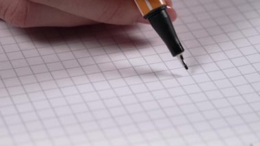 Kadın kişisel günlüğüne aşk itirafı yazıyor. Defterine 