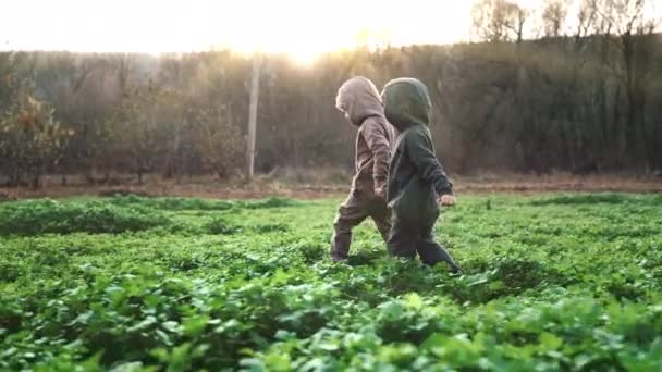 Małe Szczęśliwe Bliźniaczki Biegające Zielonym Polu Musztardowym Dzieciństwo Ciepła Jesień — Wideo stockowe