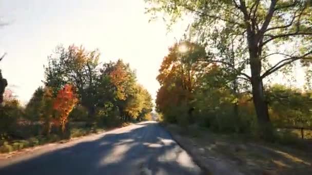 Outono Fundo Natureza Dourada Câmara Avançar Estrada Vazia Asfalto Paisagem — Vídeo de Stock