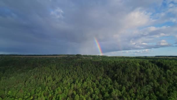 Antenni Drone Näkymä Vihreä Metsä Sateenkaari Myrskypilvet Horisontissa Upea Alkukesäaamu — kuvapankkivideo