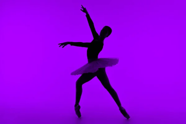 Professional ballet dancer on purple studio wall with violet light. Sensual ballerina dancing. Beautiful silhouette of woman in tutu dress. Solo performance. High quality photo