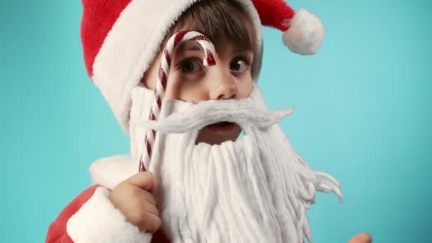 산타클로스 모자쓴 재밌는 스튜디오 배경의 캐러멜 지팡이라니 크리스마스 축하연 스러운 — 비디오