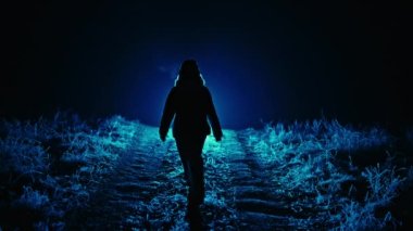 Silhouette of woman walking in blue spotlight. Winter path, frosty haze in air. High quality 4k footage
