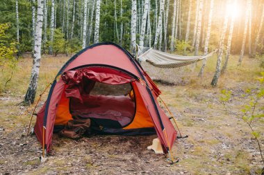 Huş ağacında kırmızı çadır kuruyorum. Hamak, gün batımı. Macera, seyahat, boş zaman. Yüksek kalite fotoğraf