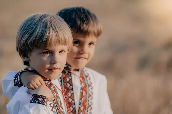 Smiling little ukrainian boys. Children together in traditional embroidery vyshyvanka shirts. Ukraine, brothers, freedom, national costume, win in war.